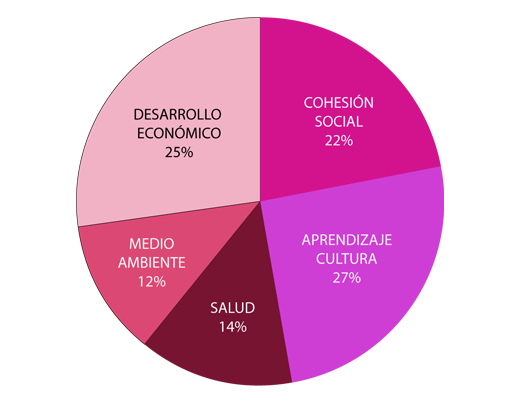 Cohesión social 11%, Desarrollo económico 8%, Medio ambiente 6%, Salud 4%, Transversal 14%